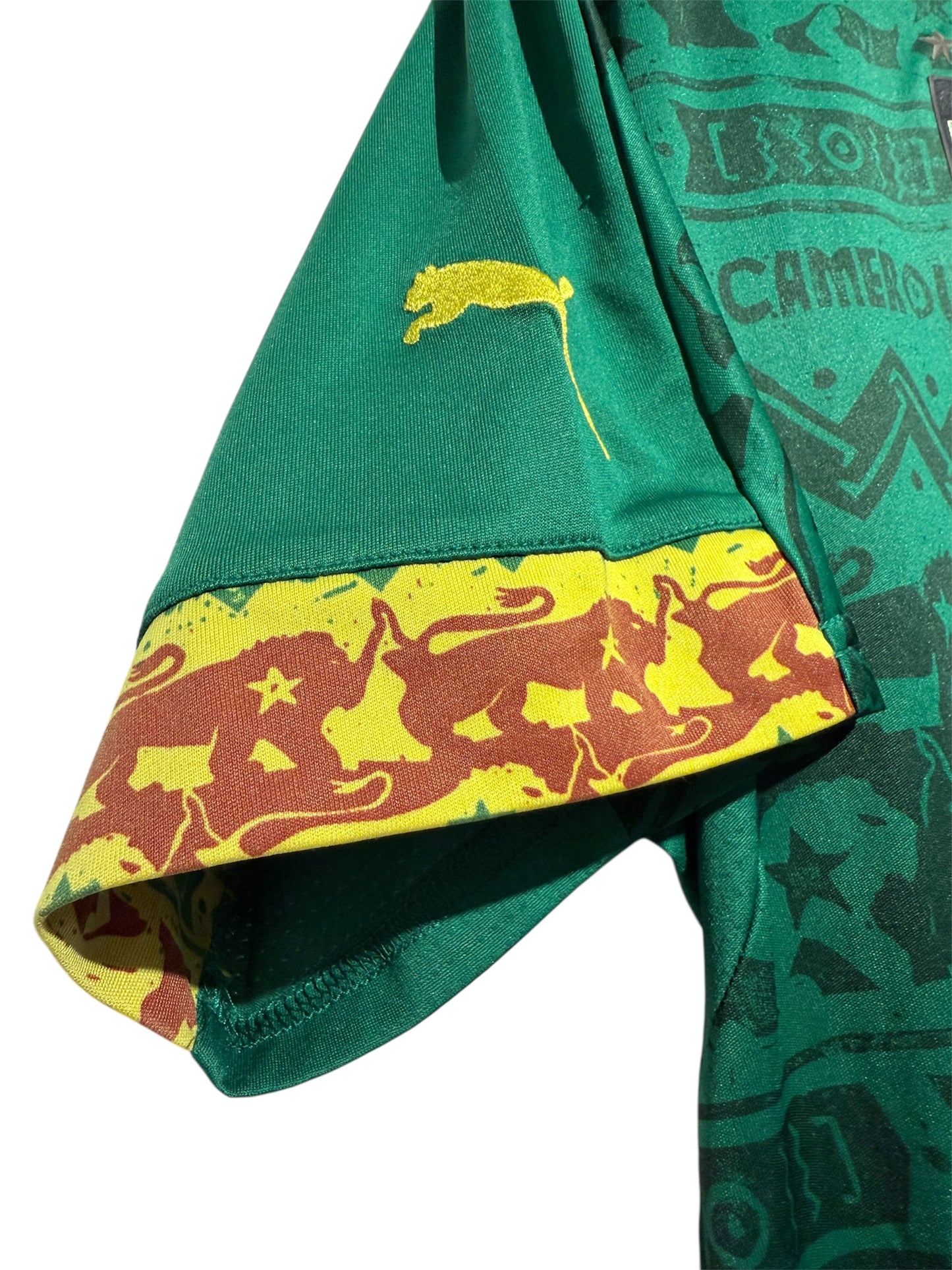 Cameroon 2014 Hjemme - M